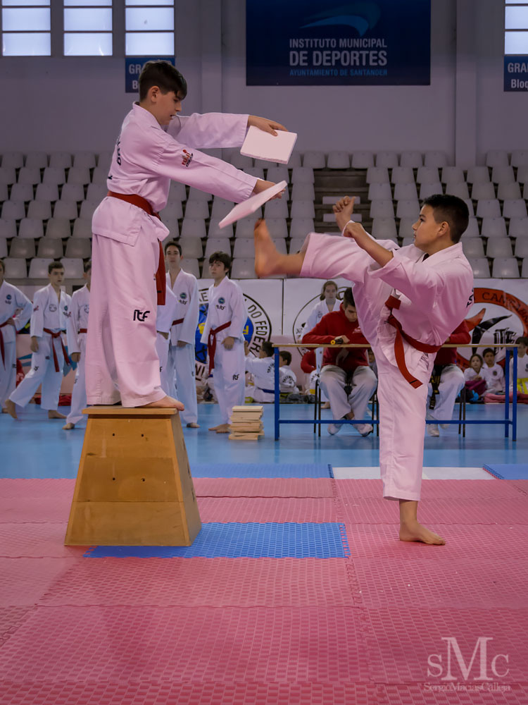 TAEKWONDO CAMPEONATO PAREJAS ABRIL 2018_2004.jpg
